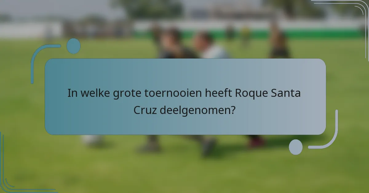 In welke grote toernooien heeft Roque Santa Cruz deelgenomen?