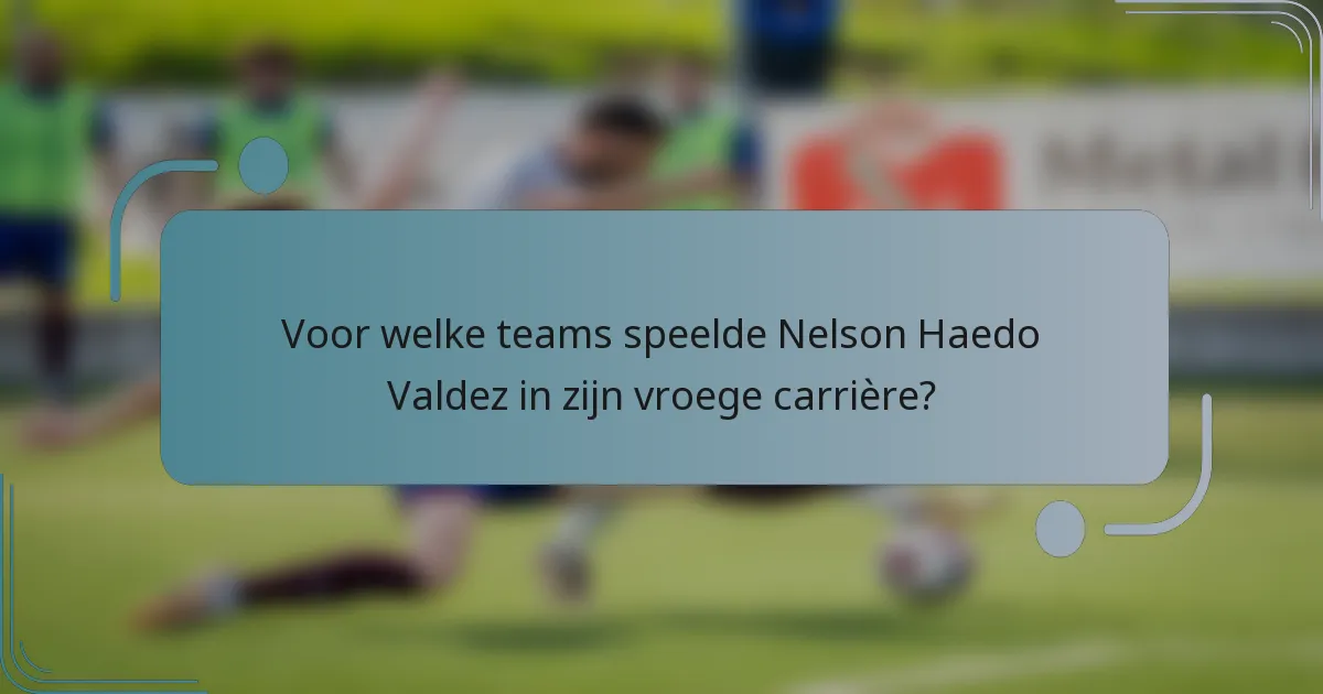 Voor welke teams speelde Nelson Haedo Valdez in zijn vroege carrière?